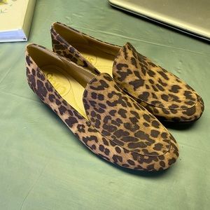 Cheetah flats
